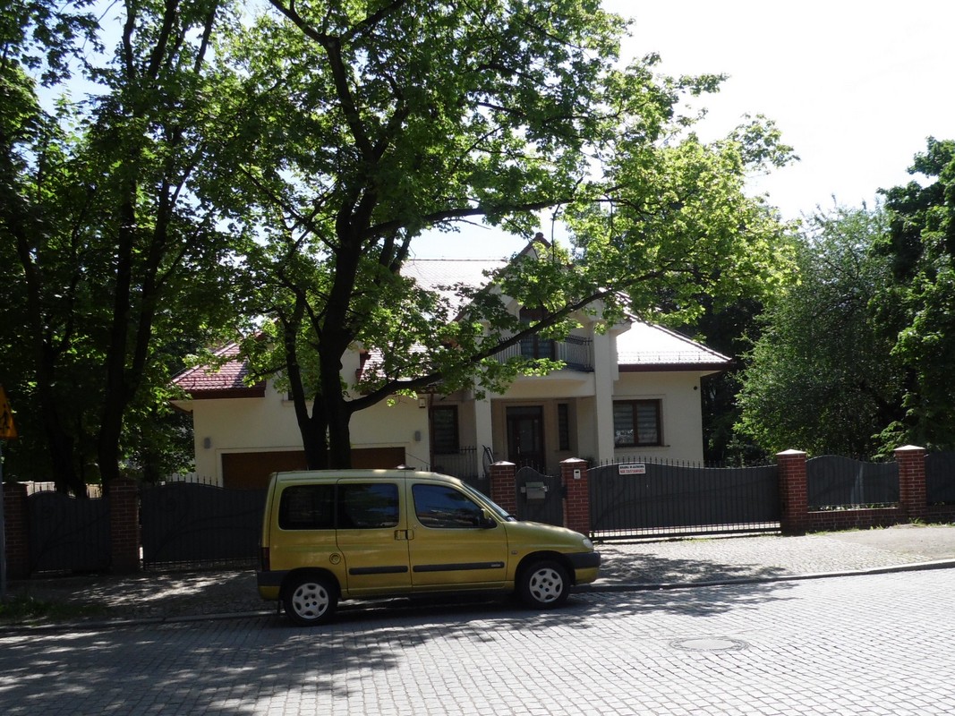 dom11