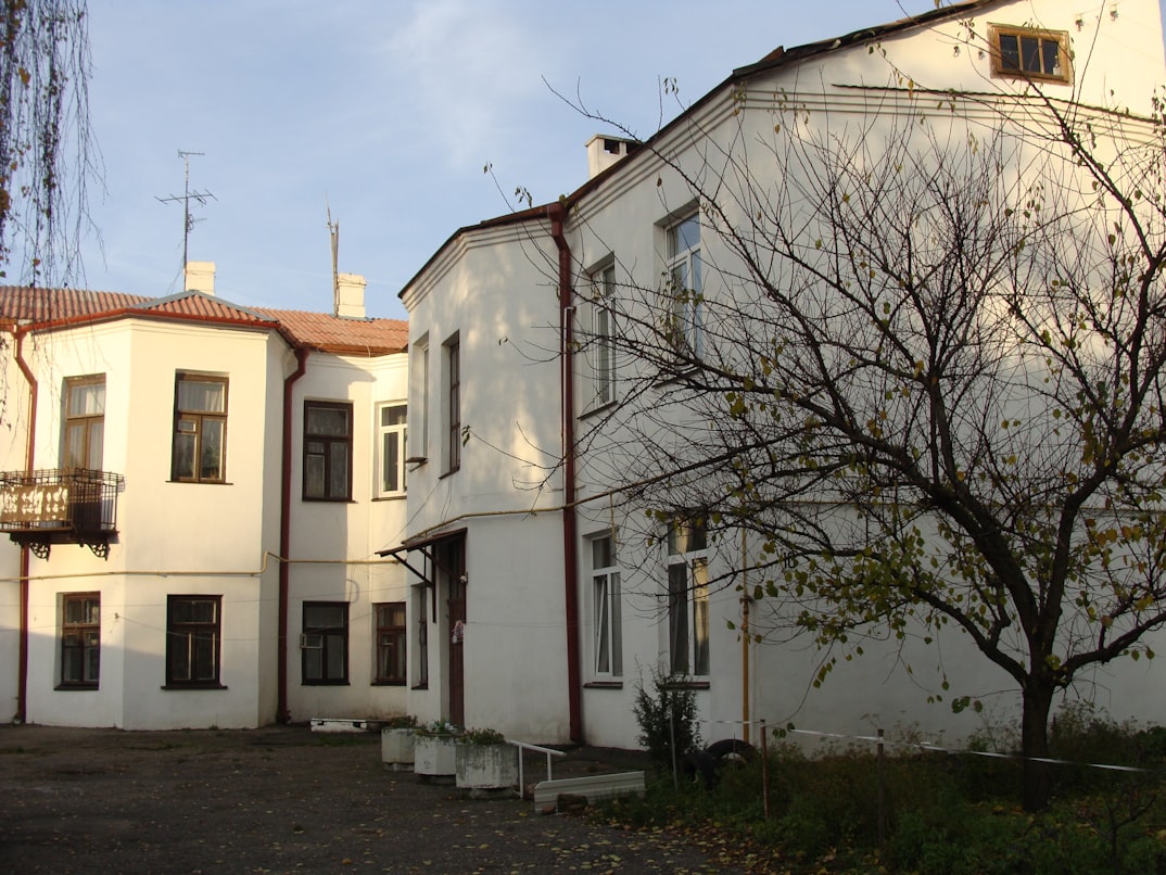 dom15